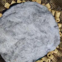 فیلتر سطلی ایهام eheim|ماهی|تهران, آسمان|دیوار