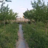 باغ قدیمی ملکی بااب چاه