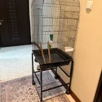 قفس پرنده