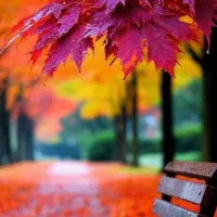 گوشی ردمی a3 اکبنددرحد سفر 2روزه خریدم