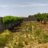 باغچه-هزار-متری-سپیدان