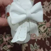 کفش مجلسی