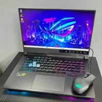 ASUS ROG Strix G513RW/R7/16G/1TB/8G RTX3070TI