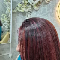 رنگ و لایت|خدمات آرایشگری و زیبایی|رشت, لاکانی|دیوار