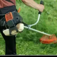 گمشده