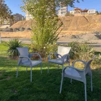 صندلی مطبی نو نو|دفتر کار|سنندج, |دیوار