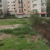 فروش چند قطعه زمین۲۰۰متر مربعی تفکیک شده .|فروش زمین و ملک کلنگی|رشت, کوی امام رضا|دیوار