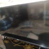 تلویزیون ۴۳ DENAY