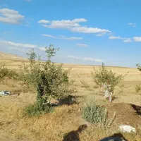 باغ ۱ هکتاری در روستای مشکین جیق بستان آباد|فروش زمین و ملک کلنگی|تیکمه داش, |دیوار