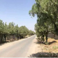 ۱۲۵۰مترسند تکبرگ قابل ساخت و ساز