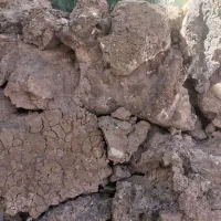 سنگ آکواریوم بزرگ|ماهی|کرمان, |دیوار