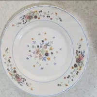پلو خوری اصل فرانسه