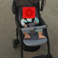 کالسکه چیکو