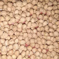 نخود درجه یک