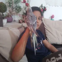 یک عددعروس هلندی سرحال وسالم