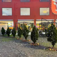 استخدام نیرو در رستوران