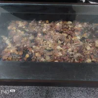 میز غذا خوری ۶نفره