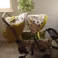 کالسکه دو قلو