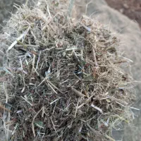 کاه ماش سبز درجه یک