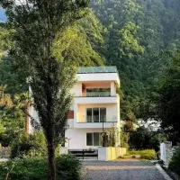 پلاک یک جنگل -مالک فروشنده پول لازم -فروش فوری