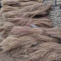 جارو شهرداری(سیخی)|خدمات نظافت|مشهد, کوی المهدی|دیوار