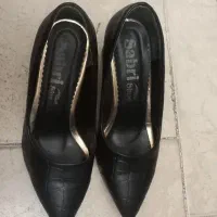 کفش مجلسی درحدنو