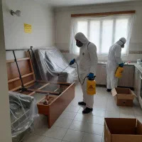 سمپاشی صدر صد تضمینی ساس ،سوسک موش و گال ،کنه و