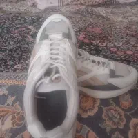 کفش اسپرت مردانه|کیف، کفش، کمربند|تربت‌حیدریه, قائم|دیوار