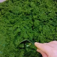 سبزی خورشتی|خوردنی و آشامیدنی|یاسوج, |دیوار