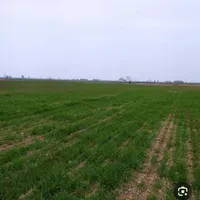 فروش زمین ۳۰۰ متری در دولتخواه