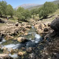 تور شمال یکشنبه