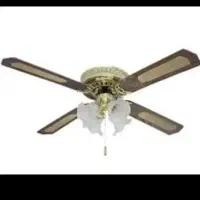 پنکه سقفی و ویبره ورزشی