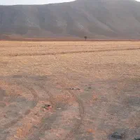 اجاره ملک کشاورزی ۴۰ هکتاری با چاه آب|اجارهٔ دفتر صنعتی، کشاورزی، تجاری|کیار, |دیوار