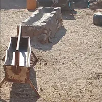 کوچ ۱۱ ماهه به گله خوبه دهن پاک|حیوانات مزرعه|گناباد, |دیوار