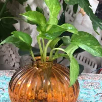 گلدان شیشه ای رنگی