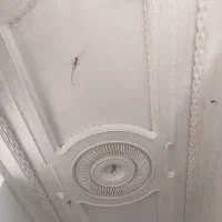 گچکاری|خدمات پیشه و مهارت|سراوان, |دیوار