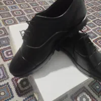 کفش مجلسی|کیف، کفش، کمربند|دورود, |دیوار