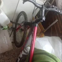 دوچرخه VIVA  شماره26 مدل بوفالو 24 دنده