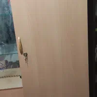 بوفه و کمد|بوفه، ویترین، کنسول|تبریز, |دیوار