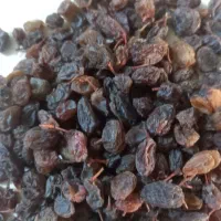 کشمش افتاب خشک