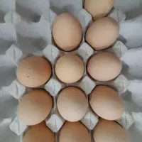 تخم مرغ امپراتور