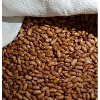 لوبیا چیتی تنظیم بازار