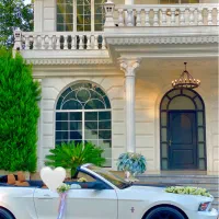 اجاره فورد موستانگ کروک|خدمات پذیرایی، مراسم|رشت, استقامت ۱|دیوار