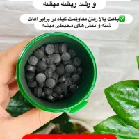 قرص کود اورگانیک|خدمات باغبانی و درختکاری|بندرعباس, |دیوار