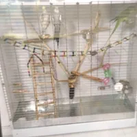 قفس پرنده