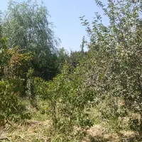 باغچه قاسم اباد بزرگ.فروش یامعاوضه|فروش زمین و ملک کلنگی|هشتگرد, قاسم آباد بزرگ|دیوار