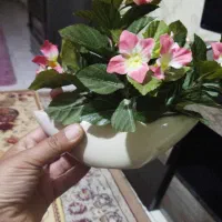 گل گلدان|گل مصنوعی|کرج, کمال‌شهر|دیوار