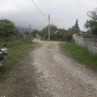 فروش زمین داخل بافت ۲۲۵ متر گیل کلا