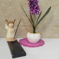 آموزش های ویژه مراقبت و زیبایی