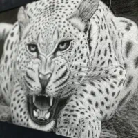 نقاشی غرش پلنگ|تابلو، نقاشی، عکس|لنجان, |دیوار